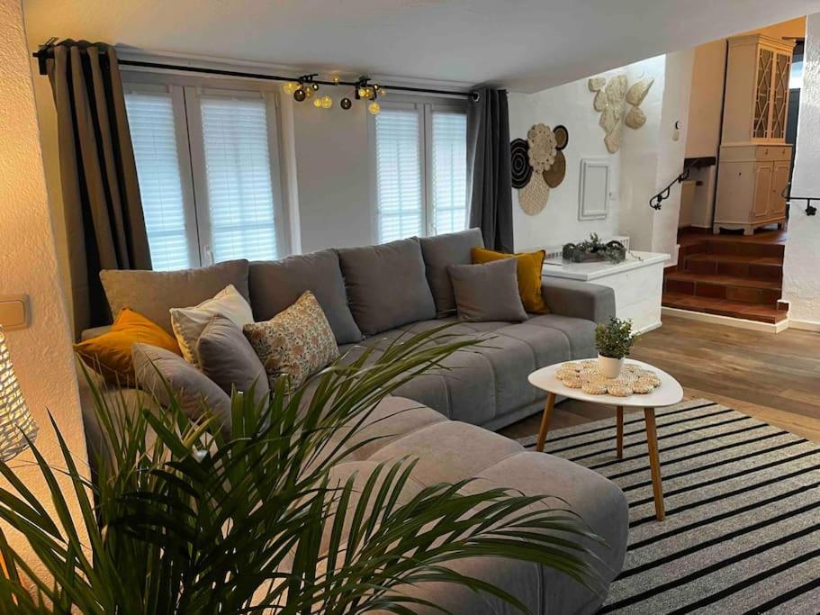 Ferienwohnung Terrassenblick 췰피히 외부 사진