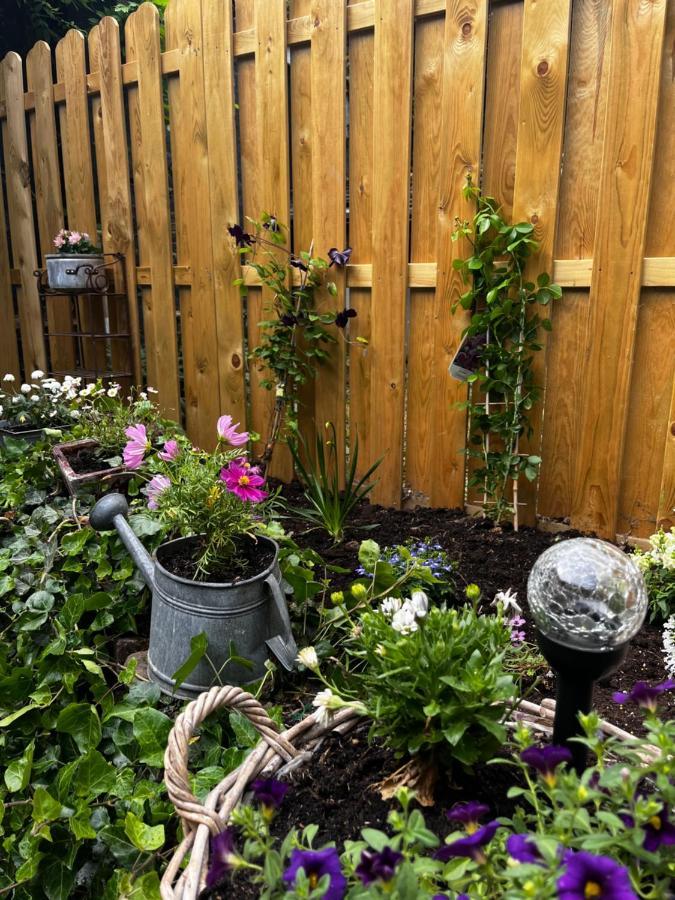 Ferienwohnung Terrassenblick 췰피히 외부 사진